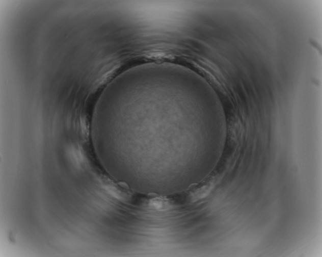 X0000095960420200801111406