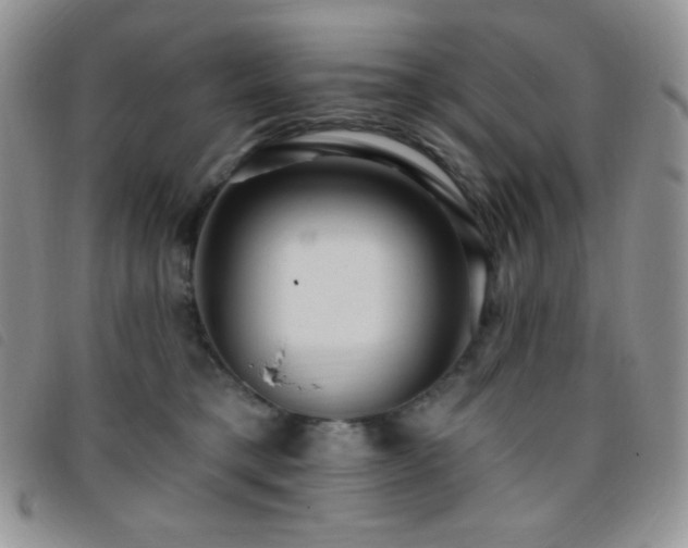 X0000095960421200801111406