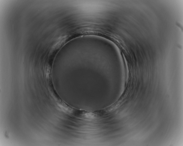 X0000095960423200801111406