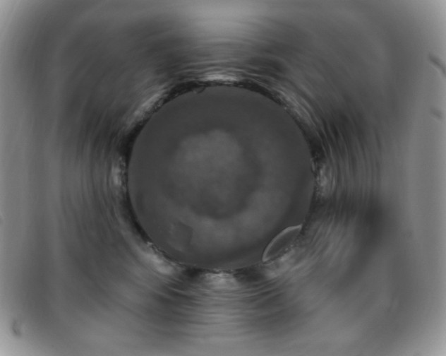X0000095960424200801111406