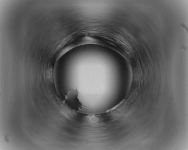X0000095960425200801111406