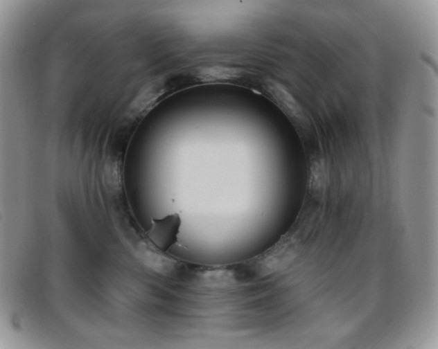 X0000095960426200801111406