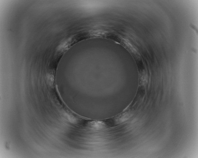 X0000095960427200801111406