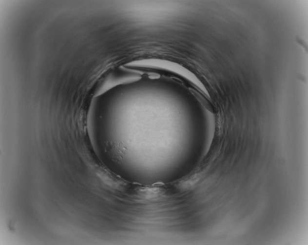 X0000095960428200801111406