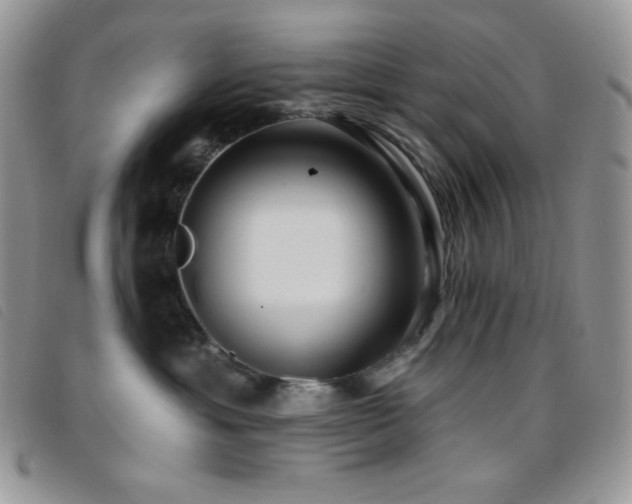 X0000095960429200801111406