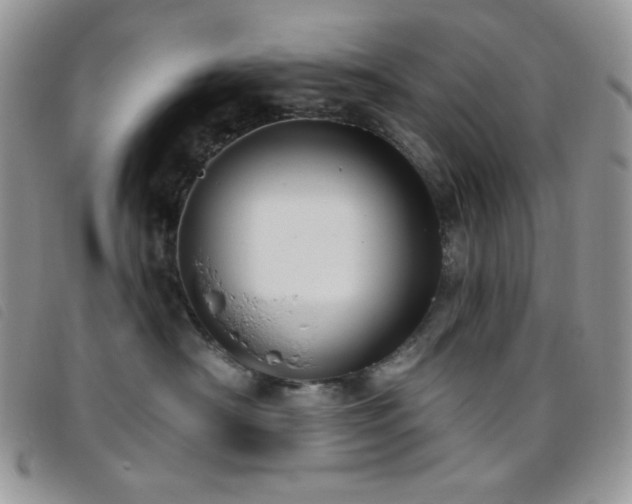 X0000095960430200801111406