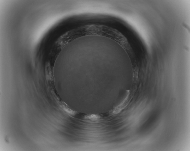 X0000095960431200801111406