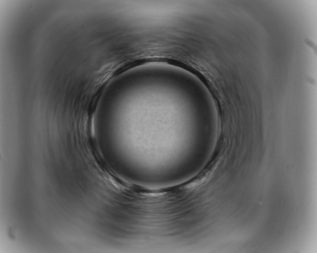 X0000095960432200801111406