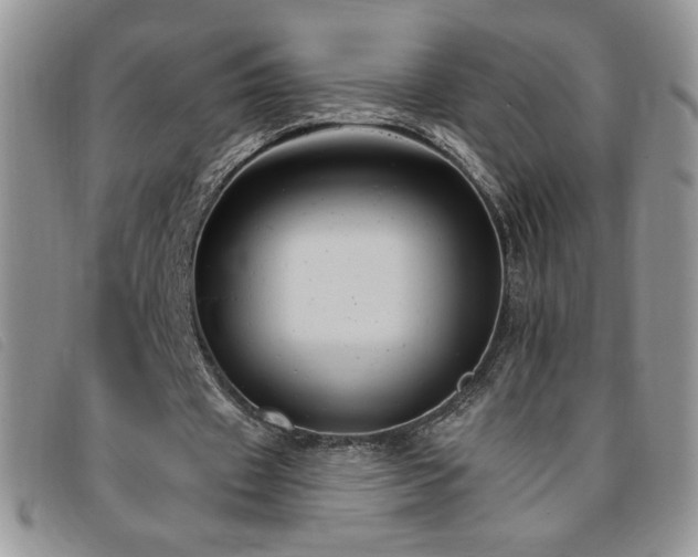 X0000095960433200801111405