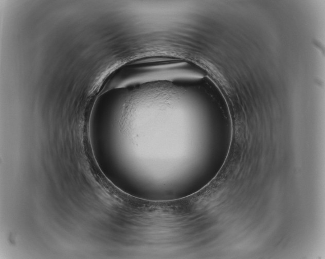 X0000095960434200801111405
