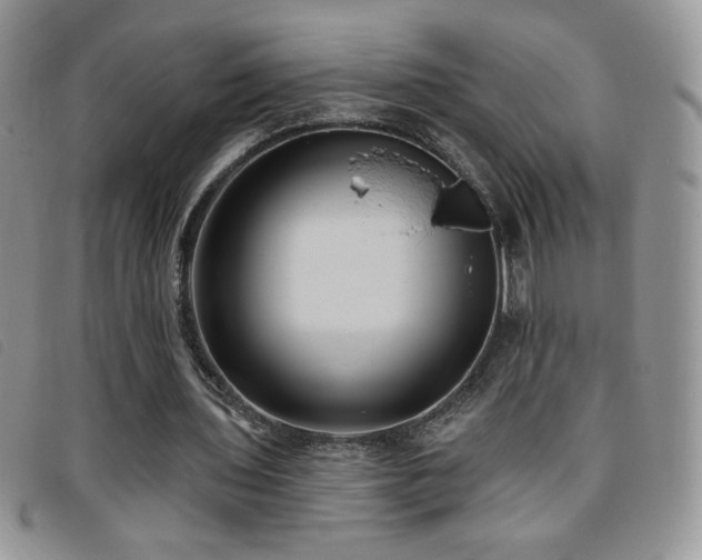 X0000095960435200801111405