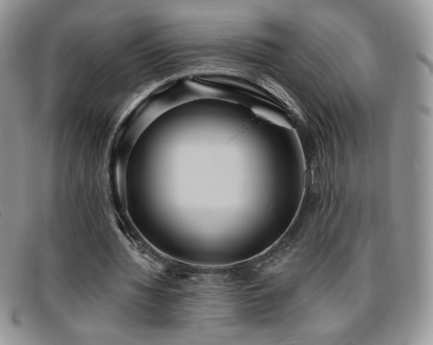 X0000095960436200801111405