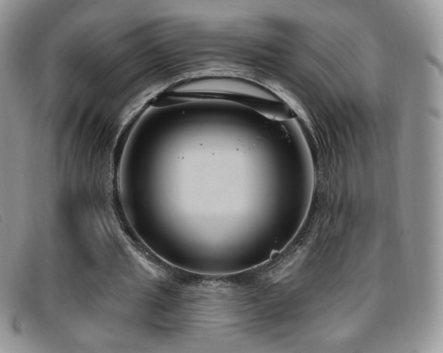 X0000095960437200801111405