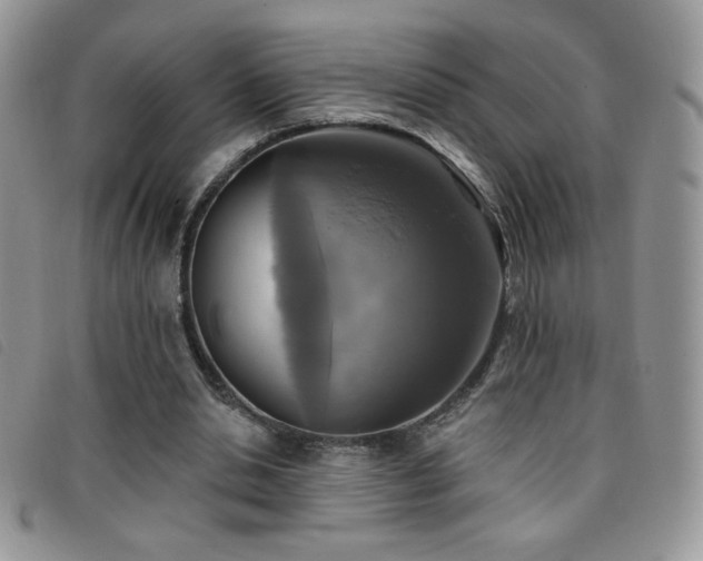 X0000095960438200801111405