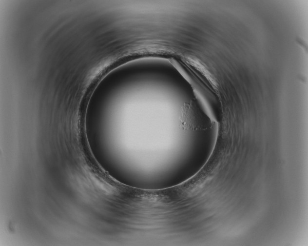 X0000095960439200801111405