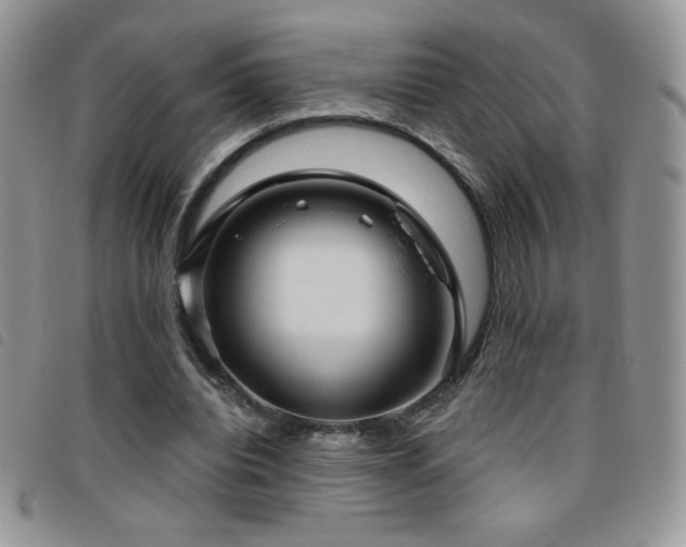 X0000095960440200801111405