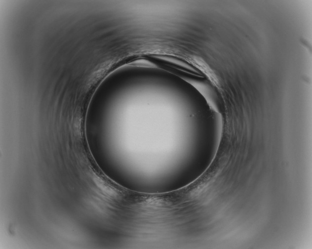 X0000095960441200801111405