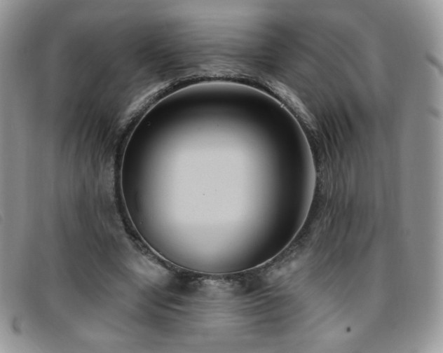 X0000095960442200801111405