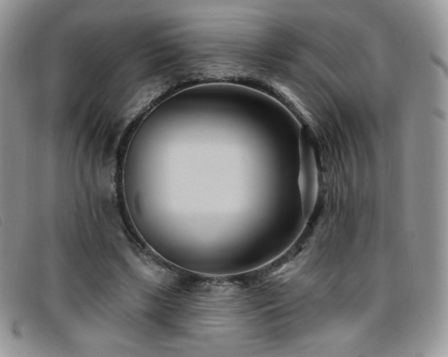 X0000095960443200801111405
