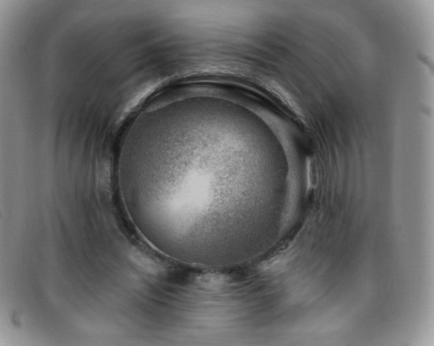 X0000095960444200801111405