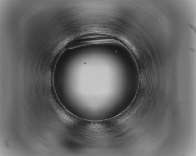 X0000095960445200801111405