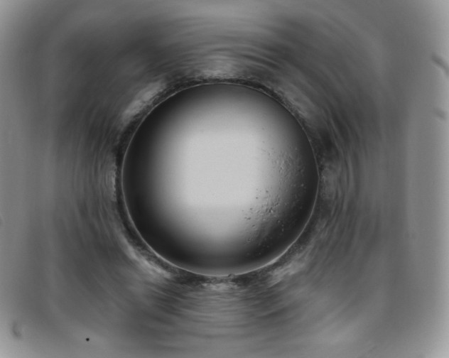 X0000095960446200801111405
