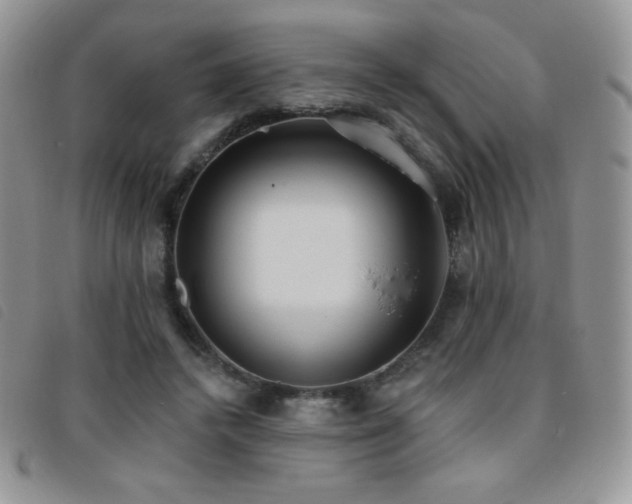 X0000095960448200801111405