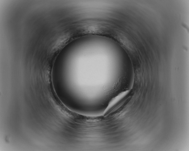 X0000095960450200801111405