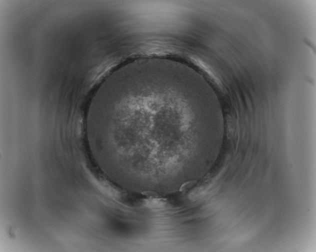 X0000095960451200801111405