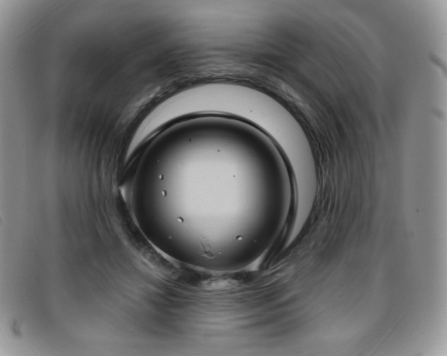X0000095960452200801111405