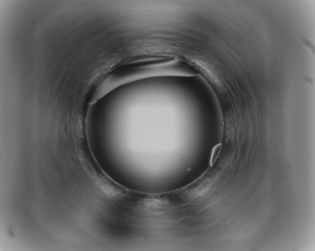 X0000095960453200801111405