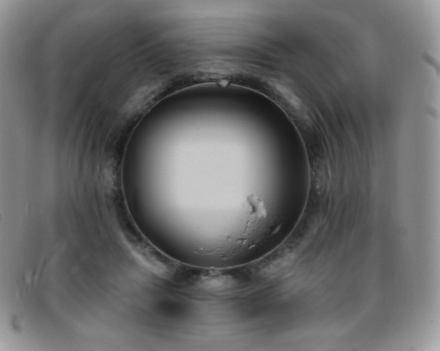 X0000095960455200801111405
