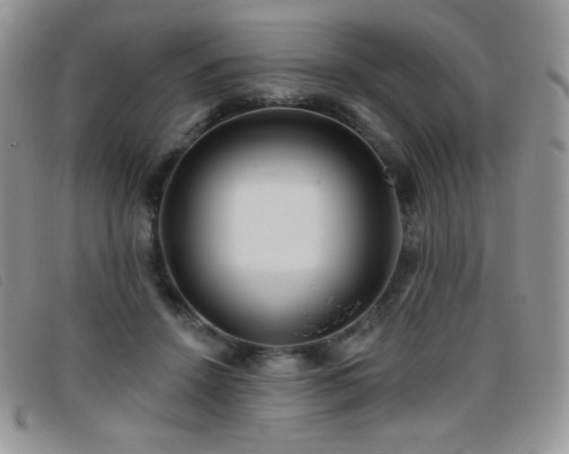 X0000095960456200801111405