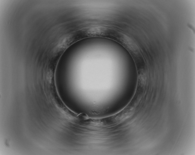 X0000095960458200801111405