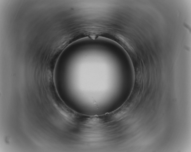 X0000095960459200801111405