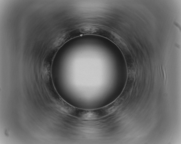 X0000095960460200801111405