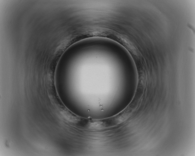 X0000095960461200801111405