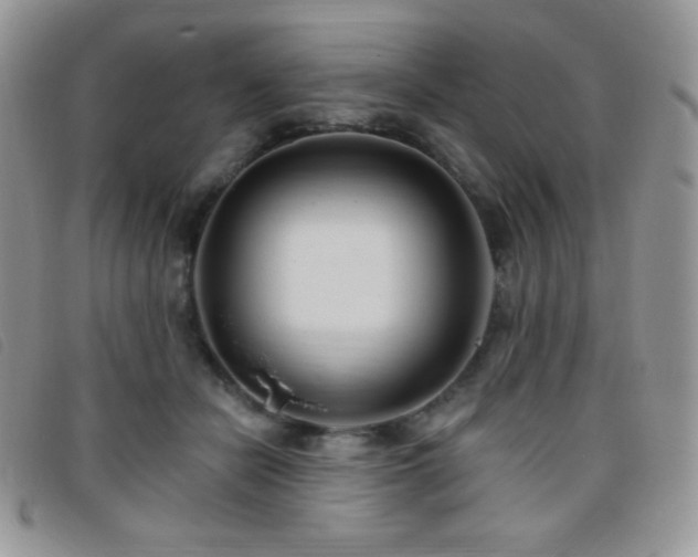 X0000095960462200801111405