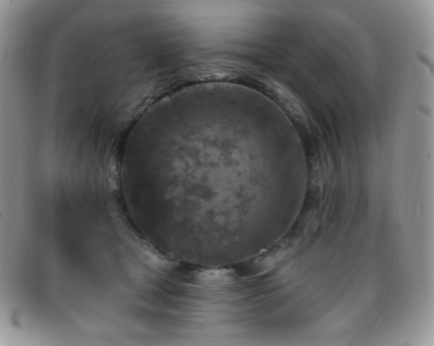 X0000095960465200801111406