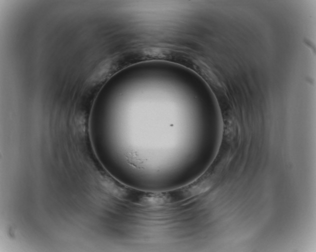 X0000095960466200801111406