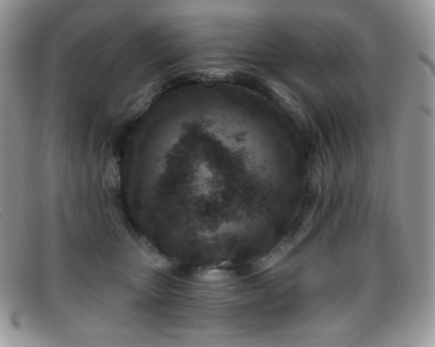 X0000095960467200801111406