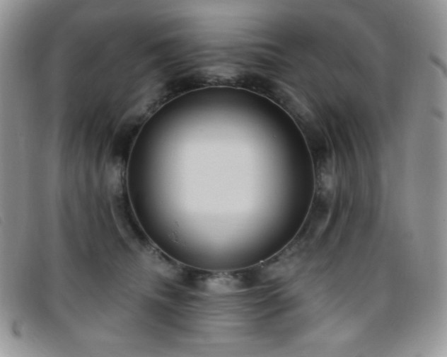 X0000095960468200801111406