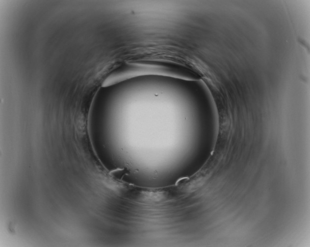 X0000095960469200801111406