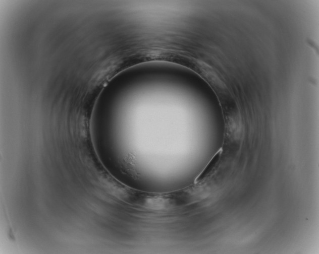 X0000095960470200801111406