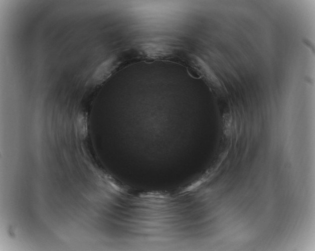 X0000095960471200801111406