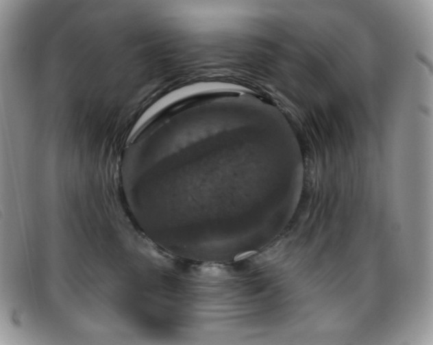 X0000095960475200801111406