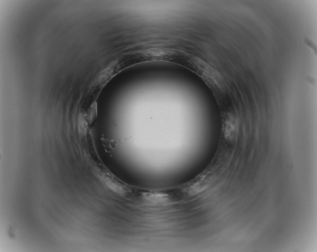 X0000095960476200801111406
