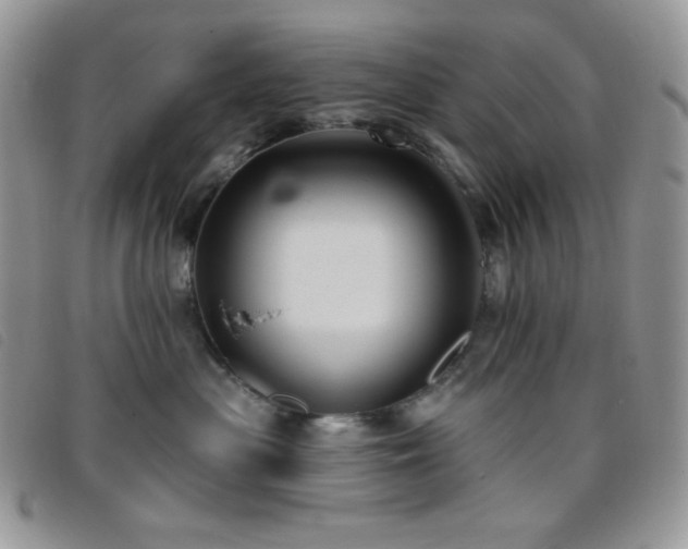 X0000095960477200801111406