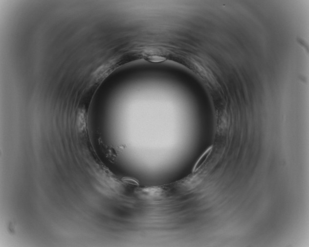 X0000095960478200801111406