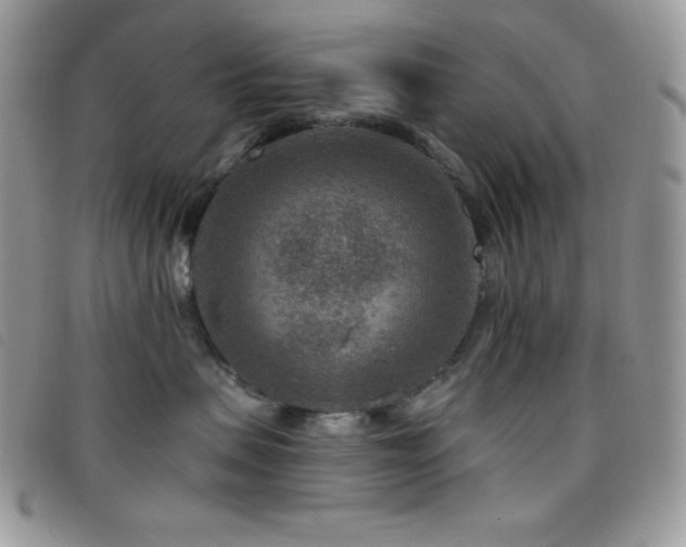 X0000095960479200801111406